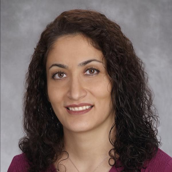 Nedda Alemi, Provider