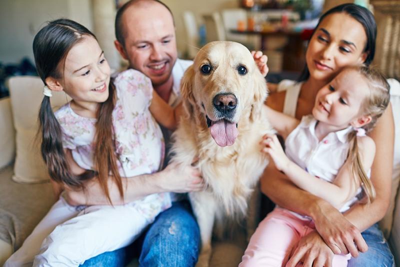 family with dog